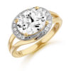 9ct Gold Elite CZ Ring-R293