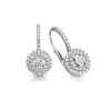 Diamond Earrings-DPL530W