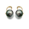 14ct Gold South Sea Pearl Earrings - SSP11GE