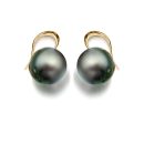 14ct Gold South Sea Pearl Earrings - SSP11GE