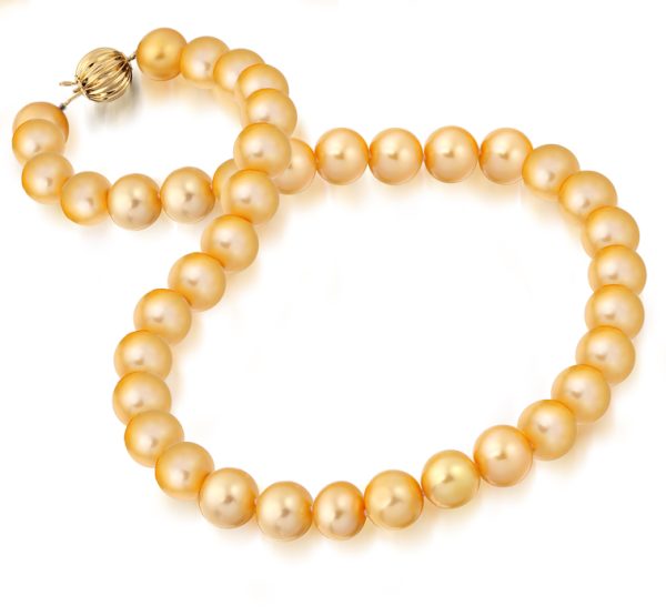 14ct Gold Cultured Pearl Necklace - PL23Y
