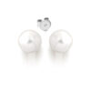 14ct White Gold Cultured Pearl Stud Earrings - PL43WE