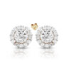 9ct Gold CZ Halo Earrings-E146CZ