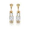 Drop Earrings-E285