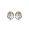 CZ Halo Earrings-E295
