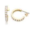 CZ Earrings-E31