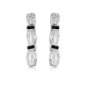 White Gold Sapphire Earrings-ER26SW